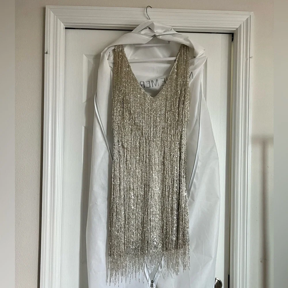 Nadine Merabi Sadie Silver dress. Worn once. Very beautiful beaded dress. Heavy - Picture 6 of 7